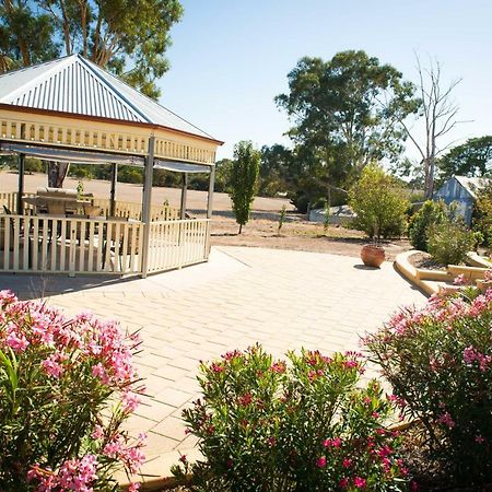 Barossa Vineyard Cottages Танунда Экстерьер фото
