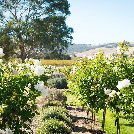 Barossa Vineyard Cottages Танунда Экстерьер фото