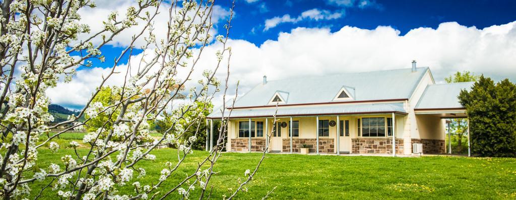 Barossa Vineyard Cottages Танунда Экстерьер фото