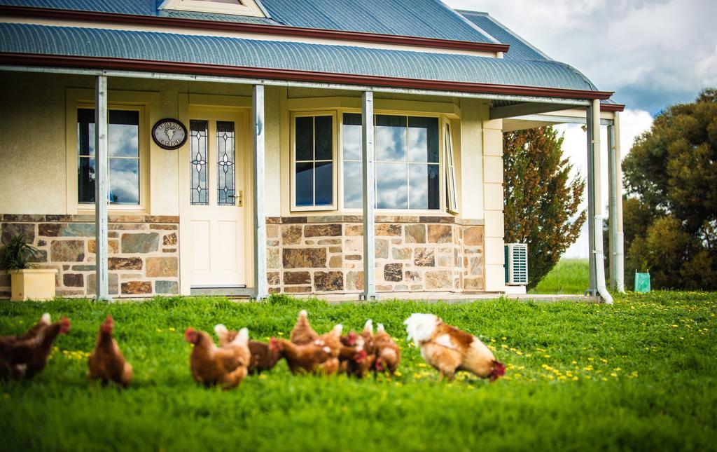 Barossa Vineyard Cottages Танунда Экстерьер фото