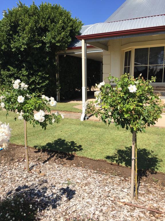Barossa Vineyard Cottages Танунда Экстерьер фото