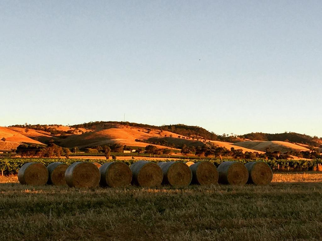 Barossa Vineyard Cottages Танунда Экстерьер фото
