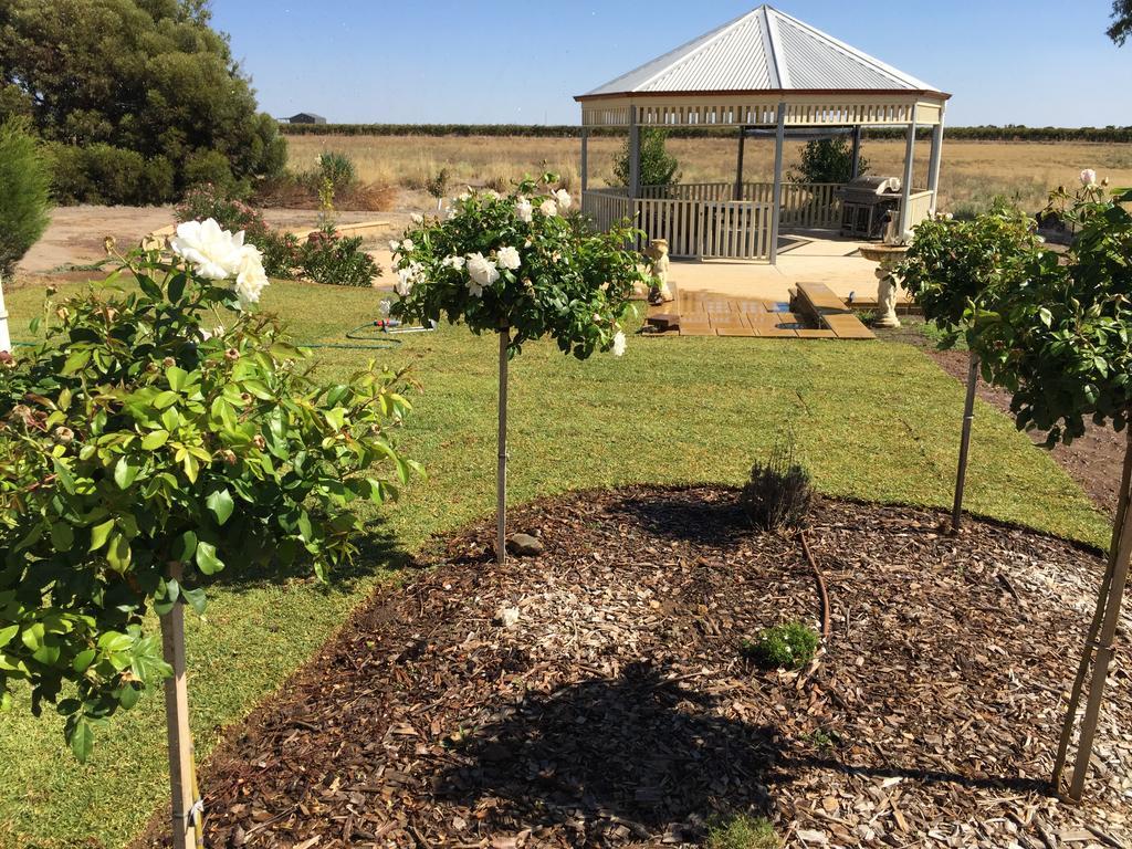 Barossa Vineyard Cottages Танунда Экстерьер фото