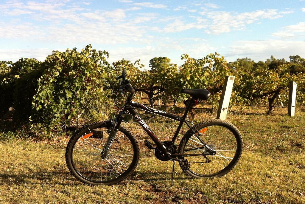 Barossa Vineyard Cottages Танунда Экстерьер фото