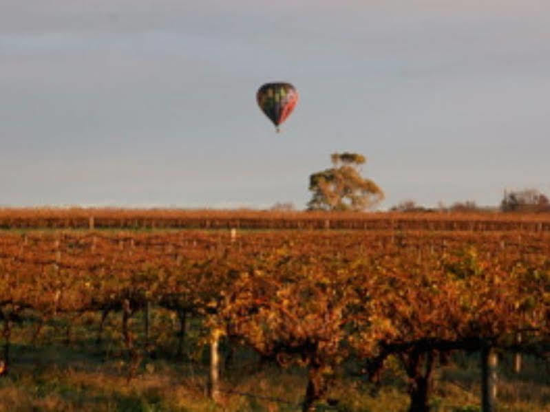 Barossa Vineyard Cottages Танунда Экстерьер фото