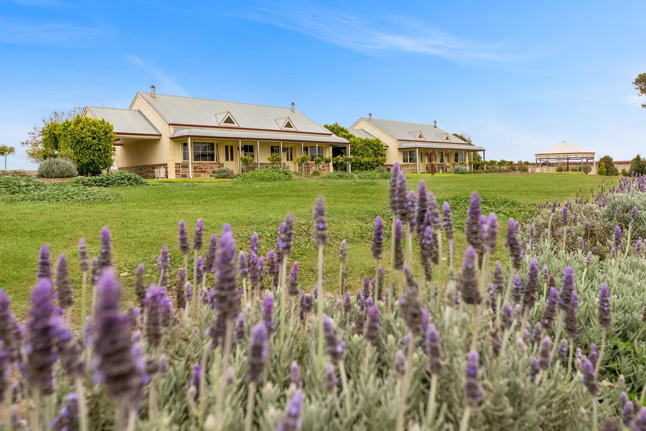 Barossa Vineyard Cottages Танунда Экстерьер фото