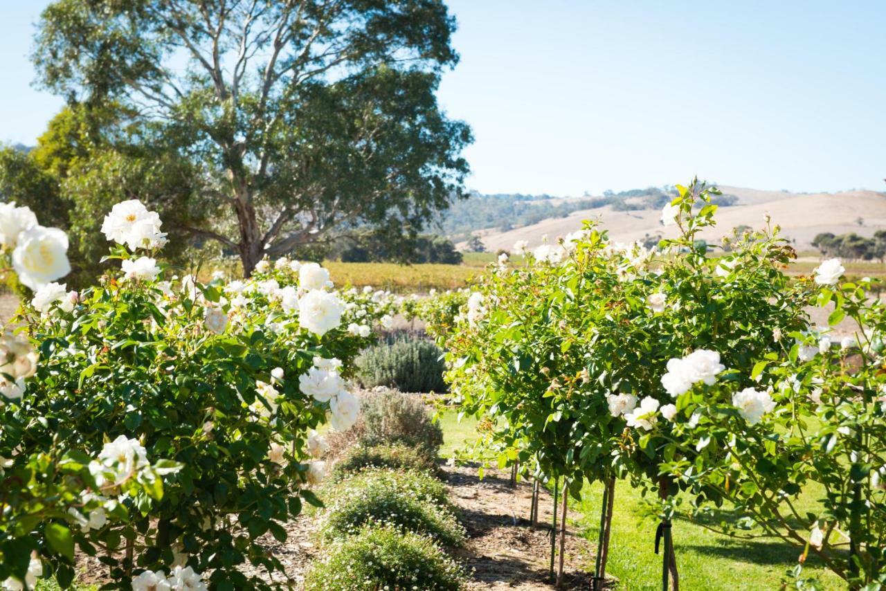 Barossa Vineyard Cottages Танунда Экстерьер фото
